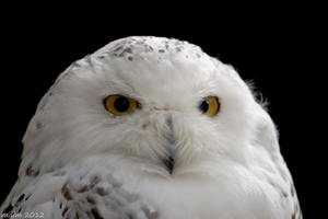 ZOO Olomouc